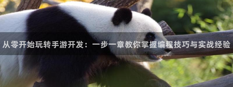 恒盛娱乐首页：从零开始玩转手游开发：一步一章教你掌握编程技巧