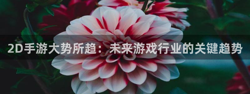恒盛娱乐注册：2D手游大势所趋：未来游戏行业的关键趋势