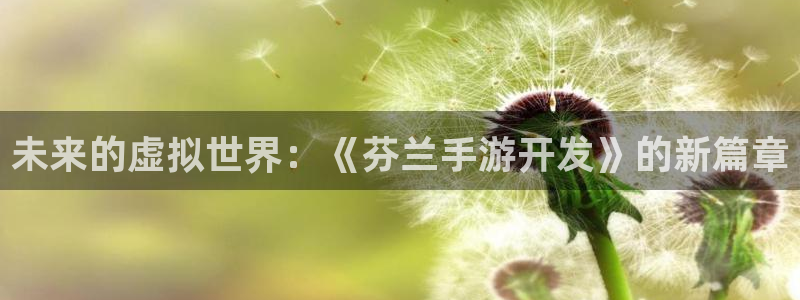 恒盛娱乐注册：未来的虚拟世界：《芬兰手游开发》的新篇章