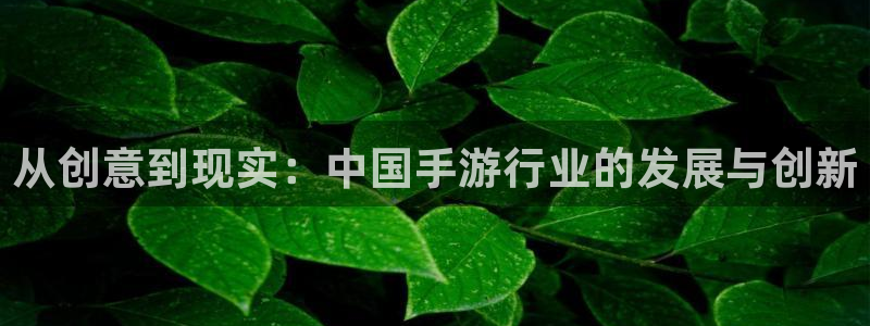 恒盛娱乐官网：从创意到现实：中国手游行业的发展与创新