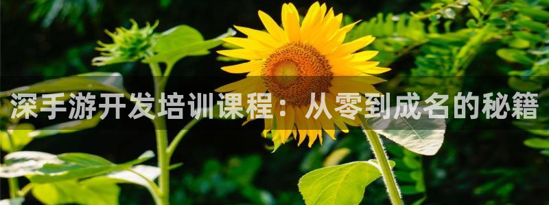 恒盛娱乐注册：深手游开发培训课程：从零到成名的秘籍