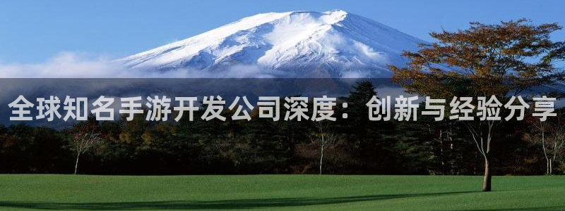 恒盛娱乐登陆：全球知名手游开发公司深度：创新与经验分享