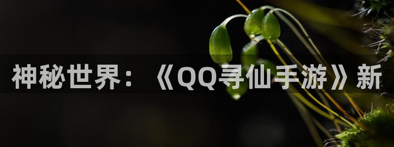 恒盛娱乐登录：神秘世界：《QQ寻仙手游》新