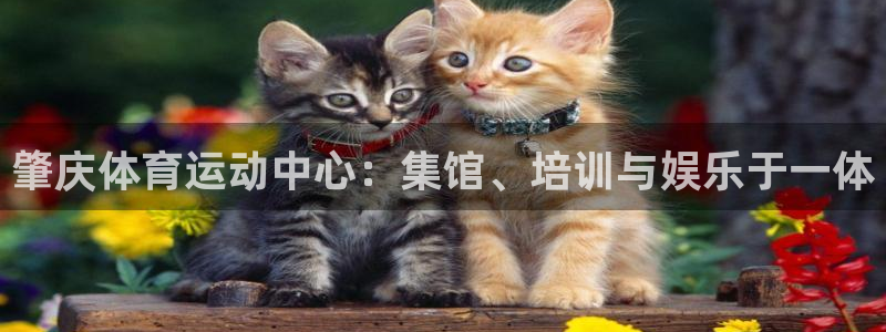 zoty中欧体育