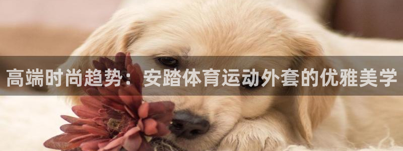 中欧体育网页登录