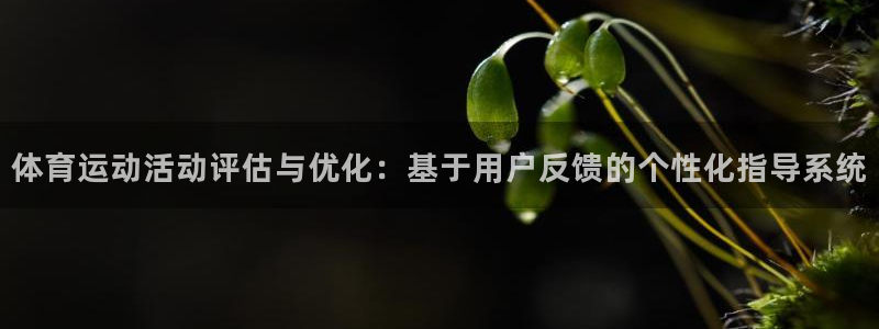 zoty中欧体育