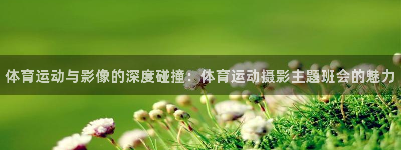 中欧体育平台